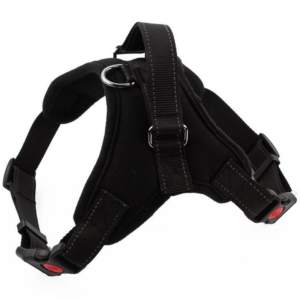 Harnais ajustável para cachorro da Magicfly com faixa refletiva, confortável e seguro para passeios ao ar livre.