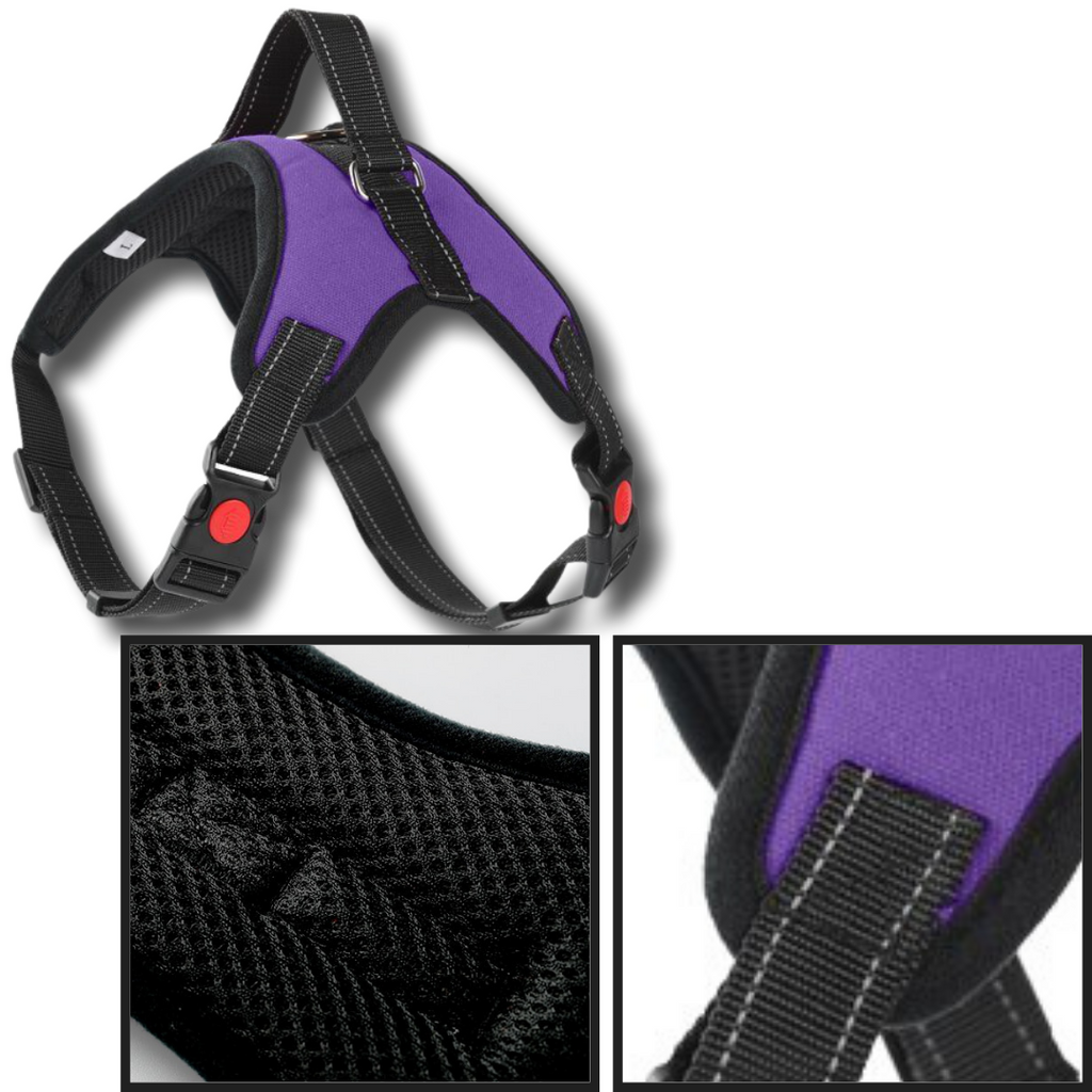 Harnais ajustável para cachorro da Magicfly com faixa refletiva, respirável e durável, ideal para passeio seguro de cães.