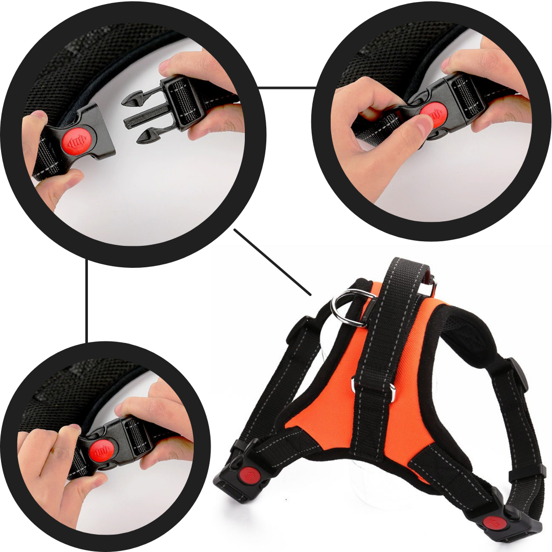 Harnais ajustável refletivo para cachorro da marca Magicfly, com fecho fácil de colocar e tirar, ideal para passeios seguros.