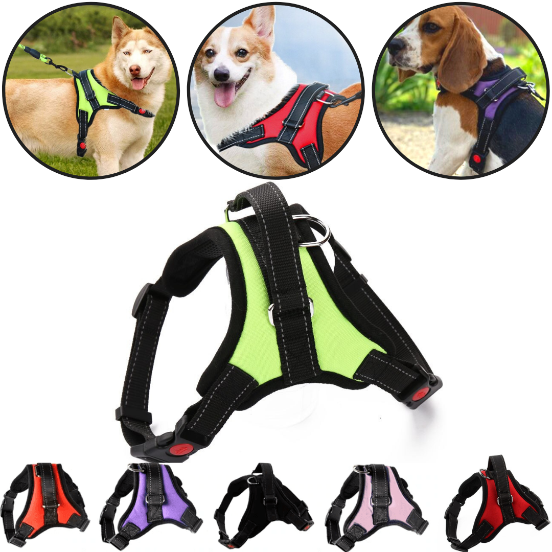 Harnais ajustável para cachorro com faixa refletora, marca Magicfly, feito para conforto e segurança ao passear com seu pet.