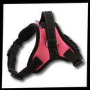 Harnais ajustável refletivo para cachorros da Magicfly, feito com material confortável e seguro para passeios ao ar livre.