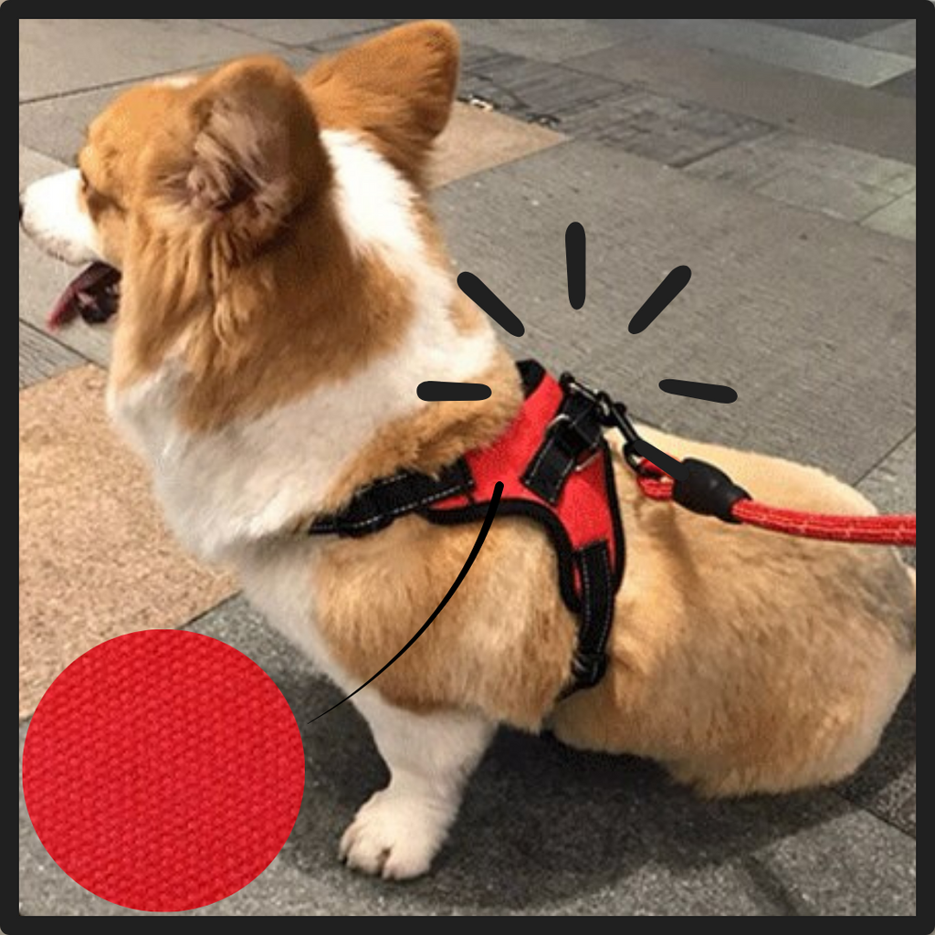 Harnais ajustável para cães da Magicfly com faixa refletiva, confortável e seguro para passeio de animais de estimação.