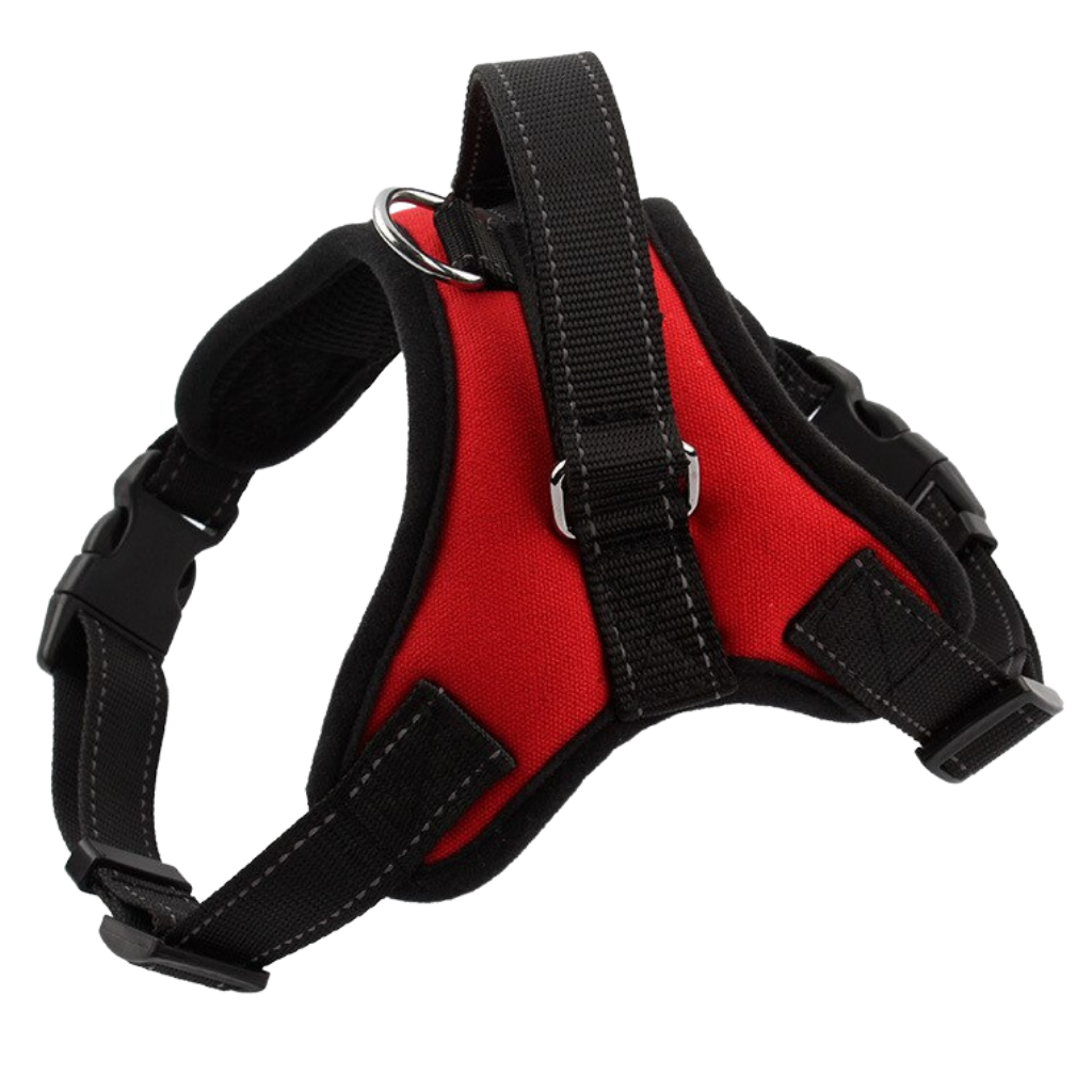 Harnais ajustável para cachorro da Magicfly com faixa refletiva vermelha, confortável e seguro para passeios ao ar livre.