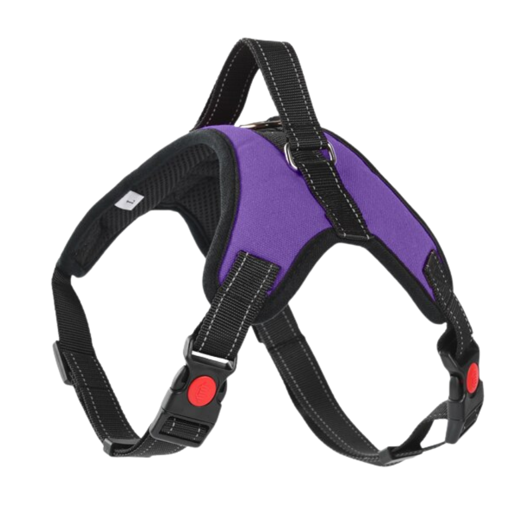 Harnais ajustável para cachorro com faixa refletiva da marca Magicfly, em cor violeta, ideal para passeios seguros e confortáveis.