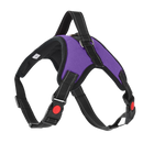 Harnais ajustável para cachorro com faixa refletiva da marca Magicfly, em cor violeta, ideal para passeios seguros e confortáveis.