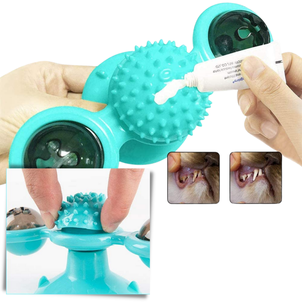 Brinquedo para gato Jandel, moinho de vento rotativo com escova, material de brinquedo para entretenimento e higiene de pets.