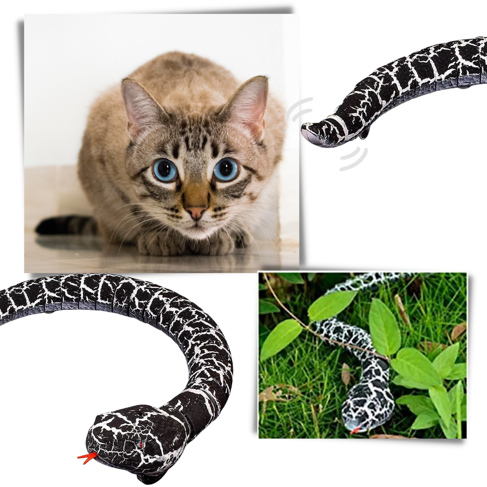 Brinquedo de serpente realista para gatos, acessório interativo com controle remoto, marca Bsmean, ideal para diversão felina.