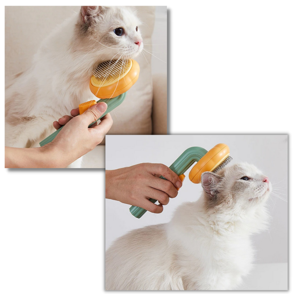 Escova de limpeza automática para pets, marca Longrv Inc, com design compacto, antiderrapante e fácil de limpar.