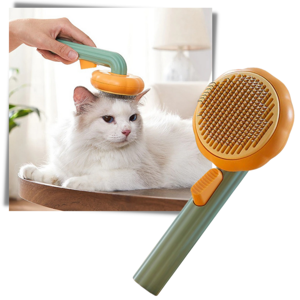 Escova de limpeza automática para animais de estimação, marca Longrv Inc, com design de abóbora para grooming fácil e eficiente.
