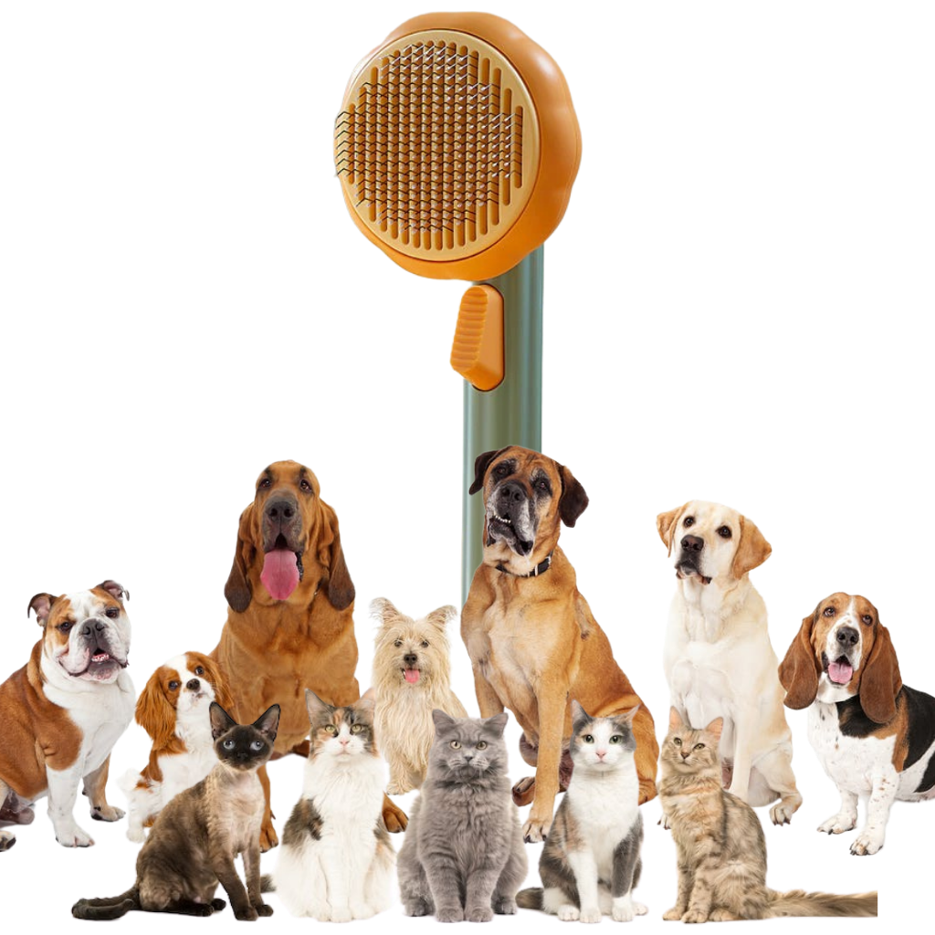 Escova auto-limpante para animais de estimação da Longrv Inc, com design versátil para cuidados de higiene e tosa.