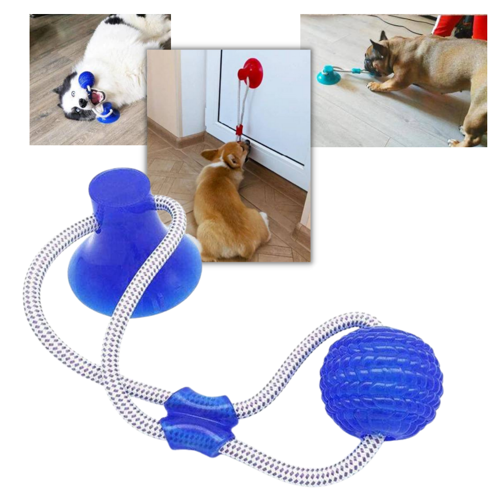 Brinquedo de bola com ventosa para cães da marca Manfiter, acessório para diversão e estímulo para cães.