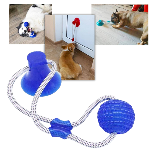 Brinquedo de bola com ventosa para cães da marca Manfiter, acessório para diversão e estímulo para cães.