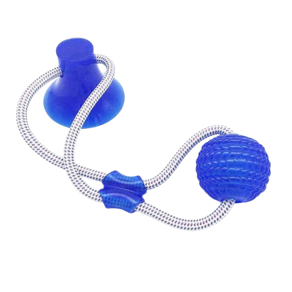 Bola com ventosa para cachorro da marca Manfiter, acessório de brinquedo para cães com ventosa azul.