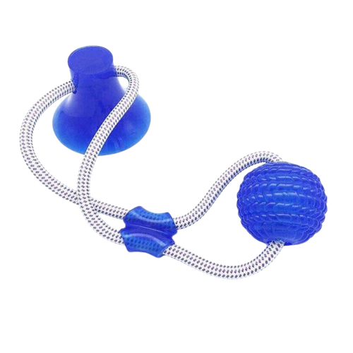 Bola com ventosa para cachorro da marca Manfiter, acessório de brinquedo para cães com ventosa azul.