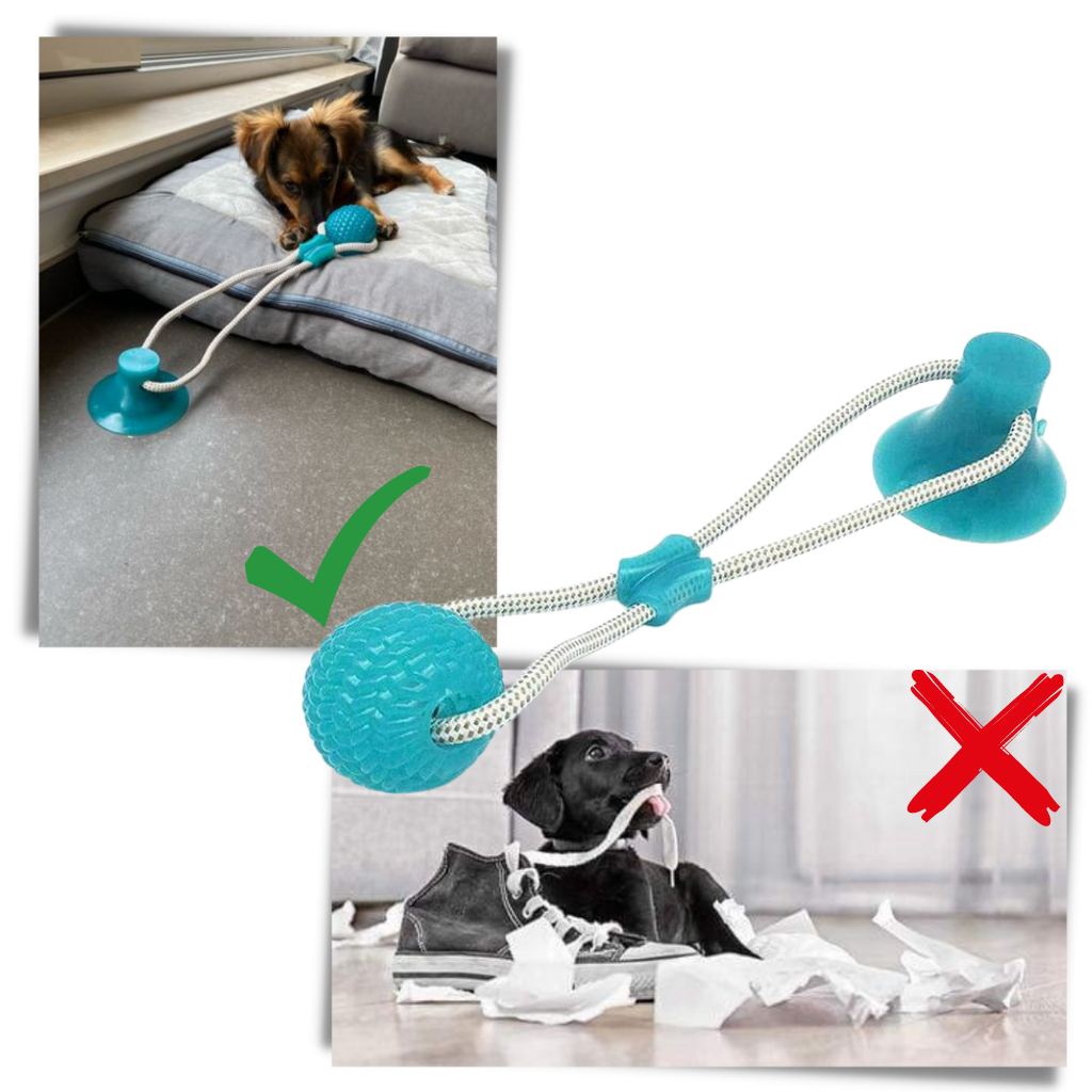 Bola com ventosa para cachorro da marca Manfiter, acessório para cães que ajuda a aliviar ansiedade e estimular brincadeiras.