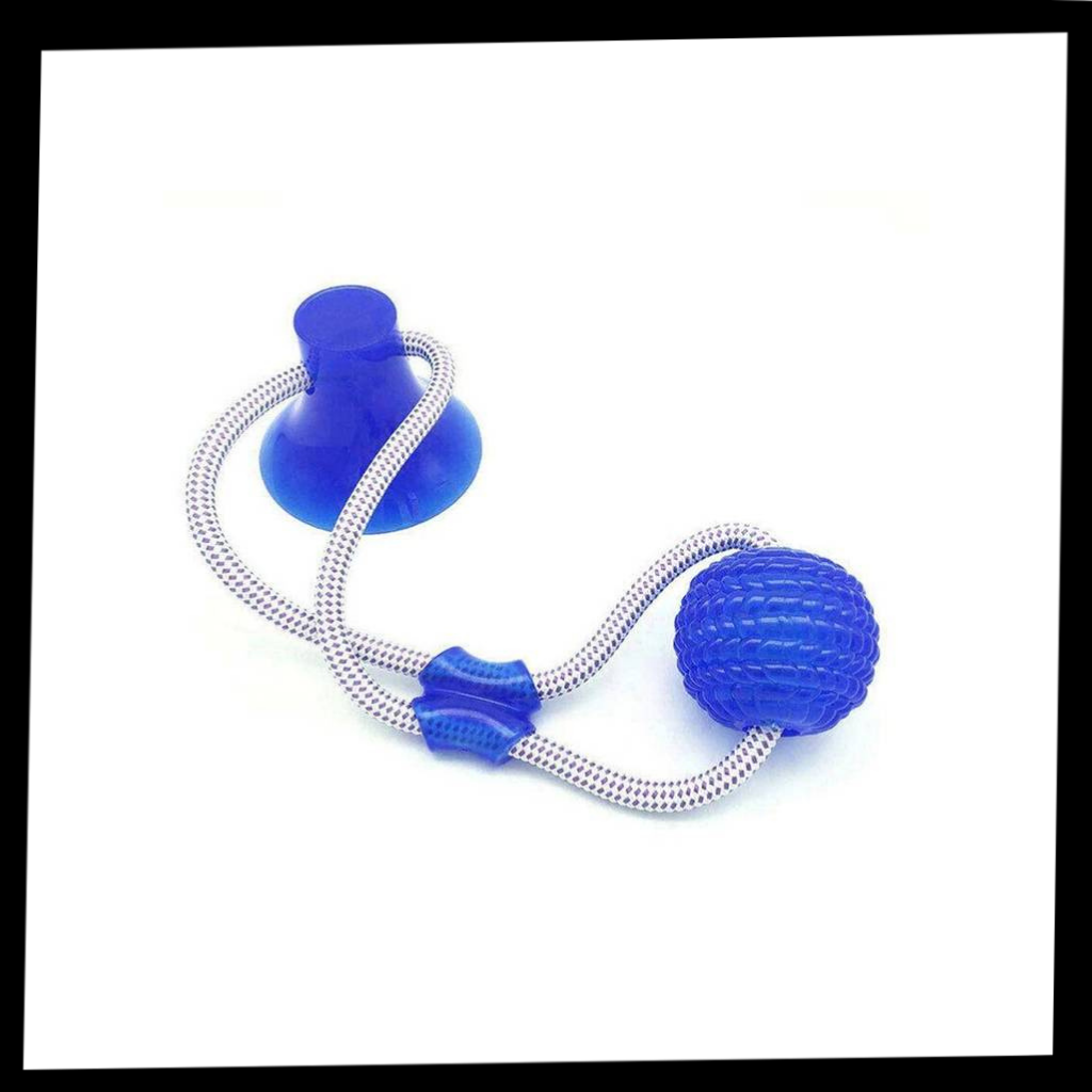 Bola com ventosa para cães da marca Manfiter, acessório para brinquedo de cachorro com ventosa para fixação.