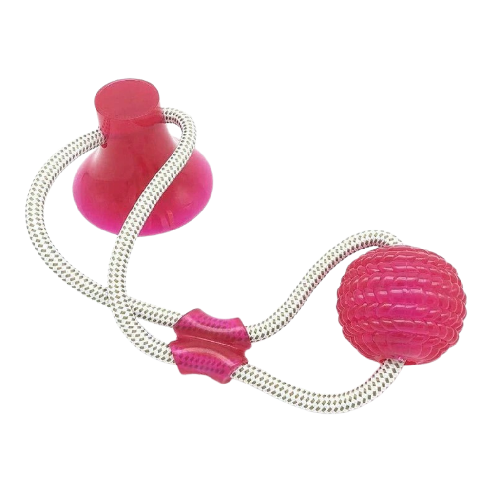 Bola com ventosa para cachorro, acessório para cães da marca Manfiter, em cor rosa, com ventosa para fixação e diversão.