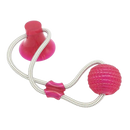 Bola com ventosa para cachorro, acessório para cães da marca Manfiter, em cor rosa, com ventosa para fixação e diversão.