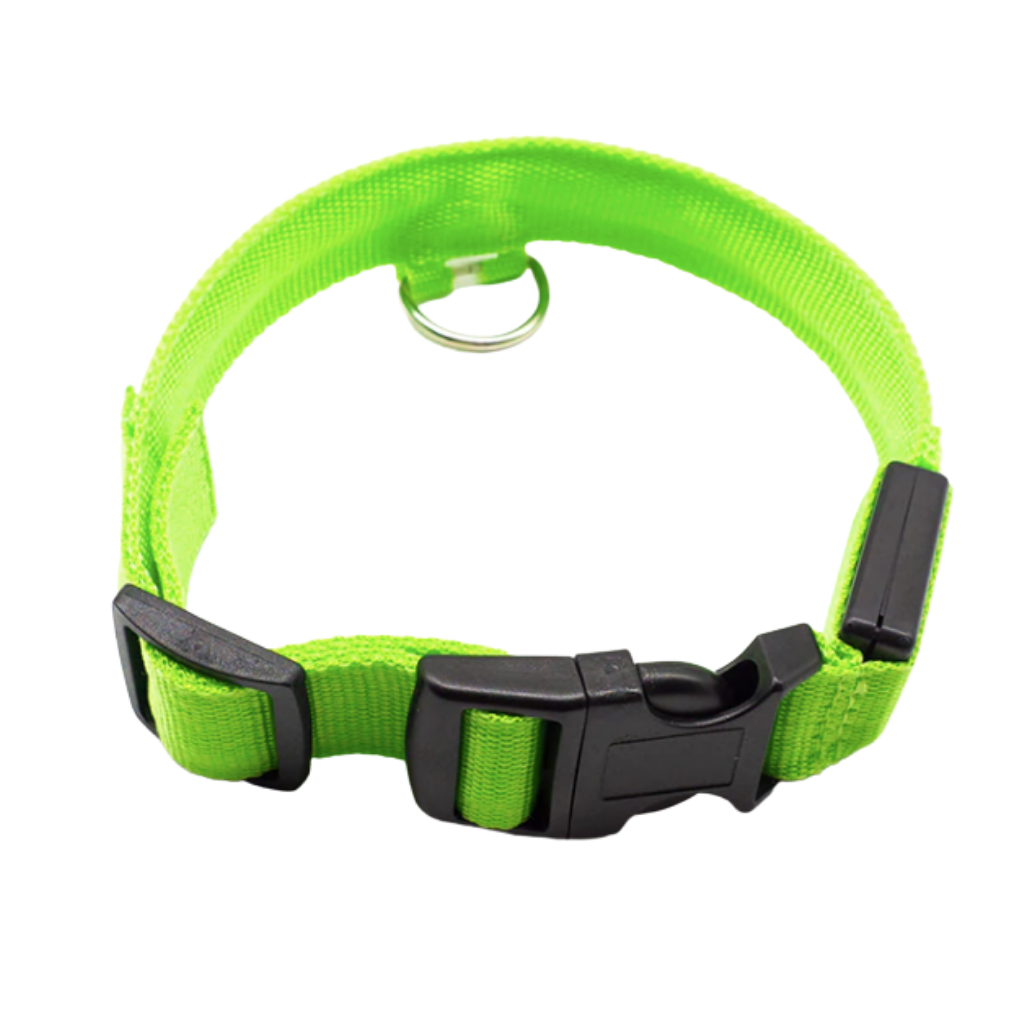 Colar luminoso recarregável por USB para animais de estimação, com luz LED verde e ajuste confortável, da marca Hqzy.