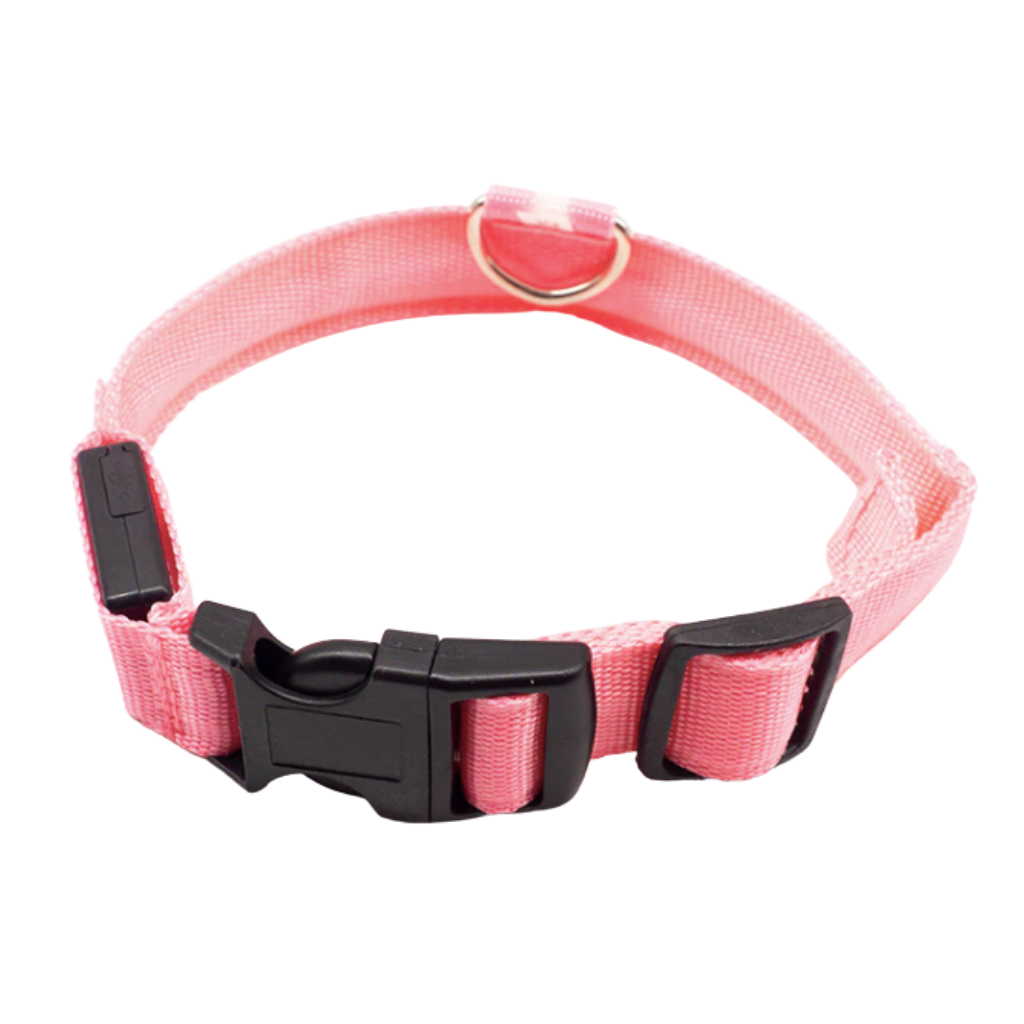 Colar luminoso para animais de estimação da Hqzy, com luz LED rosa, recarregável por USB, ideal para segurança e visibilidade.