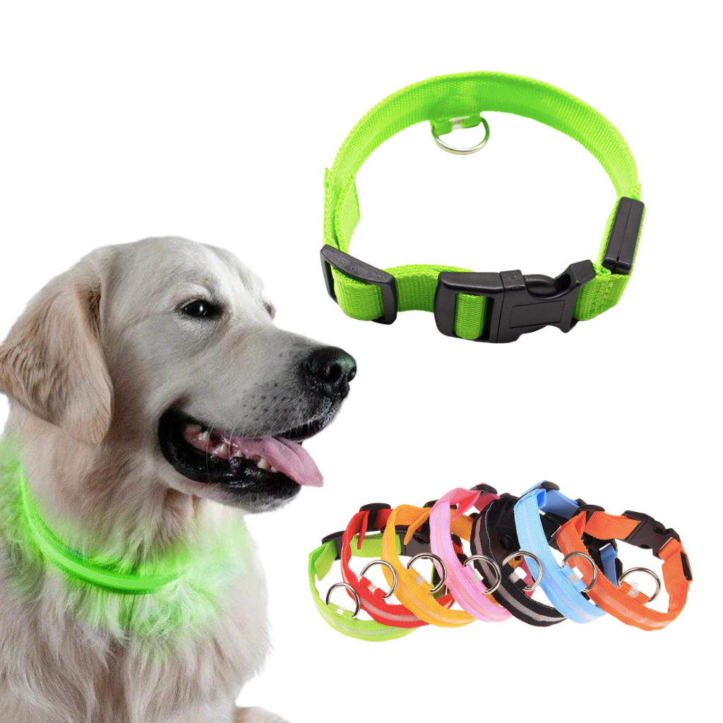 Colar luminoso para animais de estimação da Hqzy, recarregável por USB, com LED para segurança de cães e filhotes.