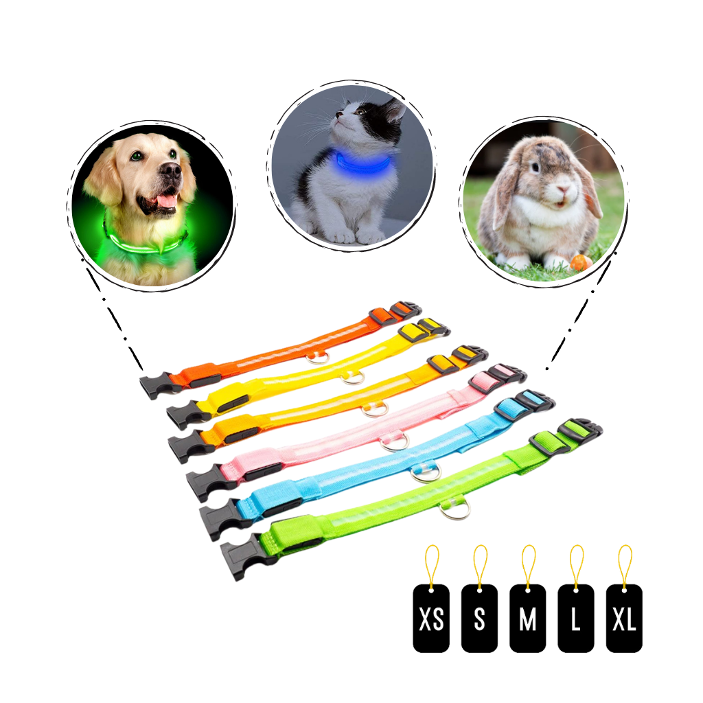 Coleira LED recarregável por USB para animais de estimação, colar luminoso seguro e visível para pets, marca Hqzy.