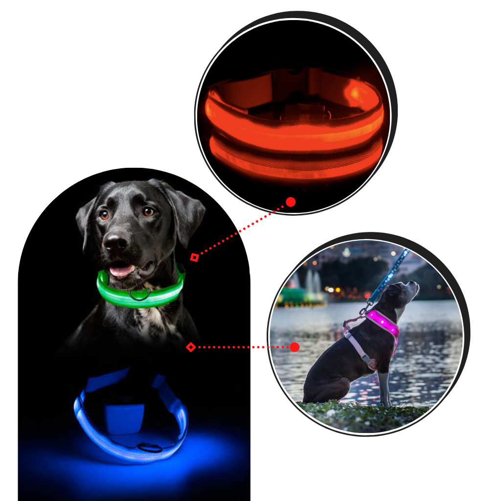 Coleira luminosa USB recarregável para animais de estimação, com luz LED de alta visibilidade, marca Hqzy.