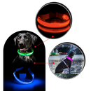 Coleira luminosa USB recarregável para animais de estimação, com luz LED de alta visibilidade, marca Hqzy.
