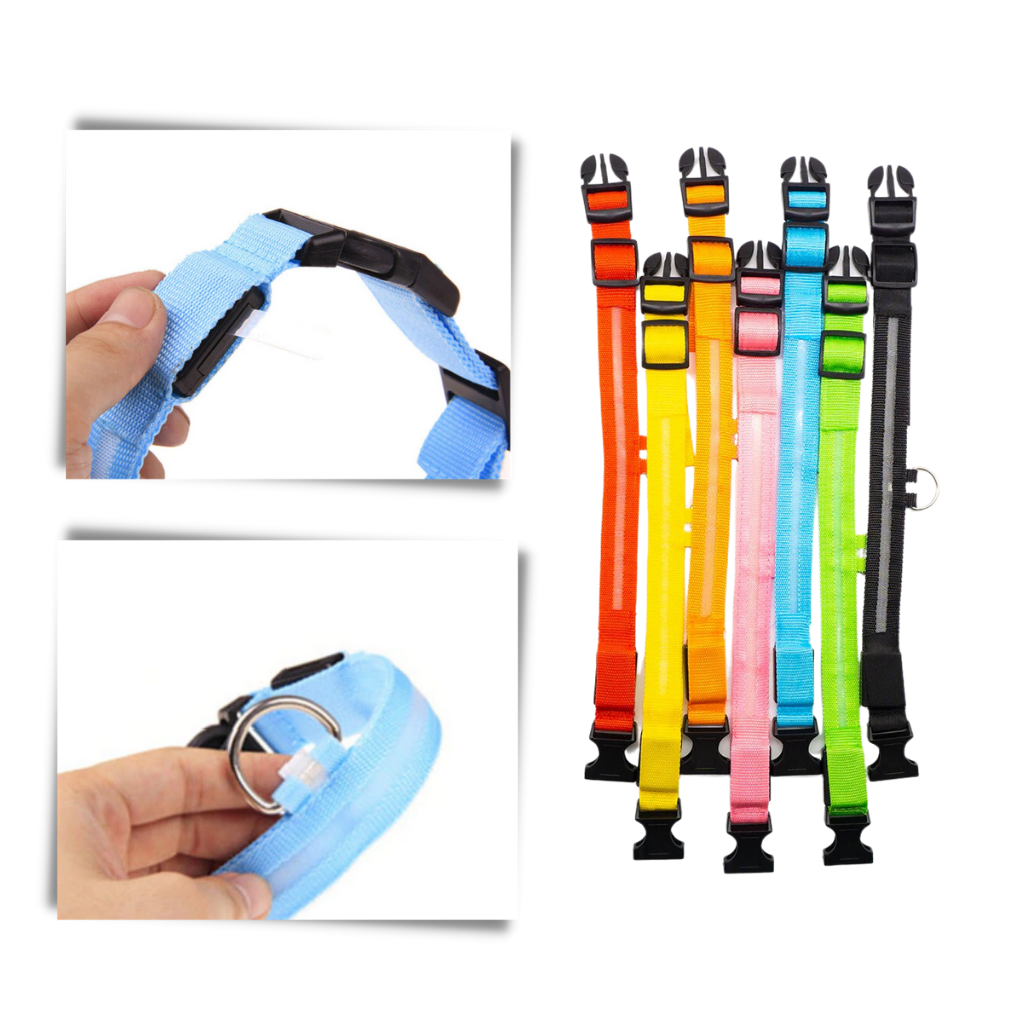Colar luminoso para animais de estimação da Hqzy, recarregável por USB, leve, resistente à água e com luz LED brilhante.