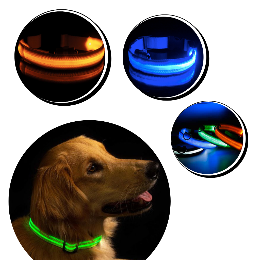 Colar luminoso para animais de estimação da Hqzy com luz LED recarregável por USB e três modos de piscar.
