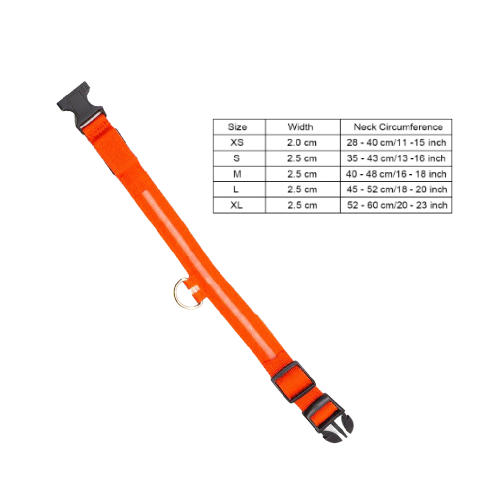 Coleira LED recarregável por USB para animais de estimação, com luz brilhante e ajuste confortável, marca Hqzy.