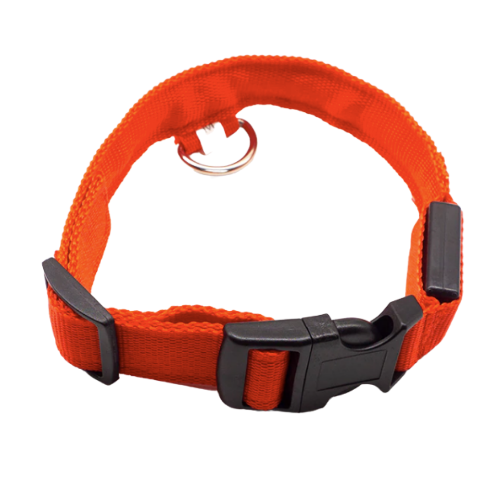Colar luminoso para animais de estimação, recarregável por USB, com luz LED vermelha, da marca Hqzy, ideal para segurança e visibilidade