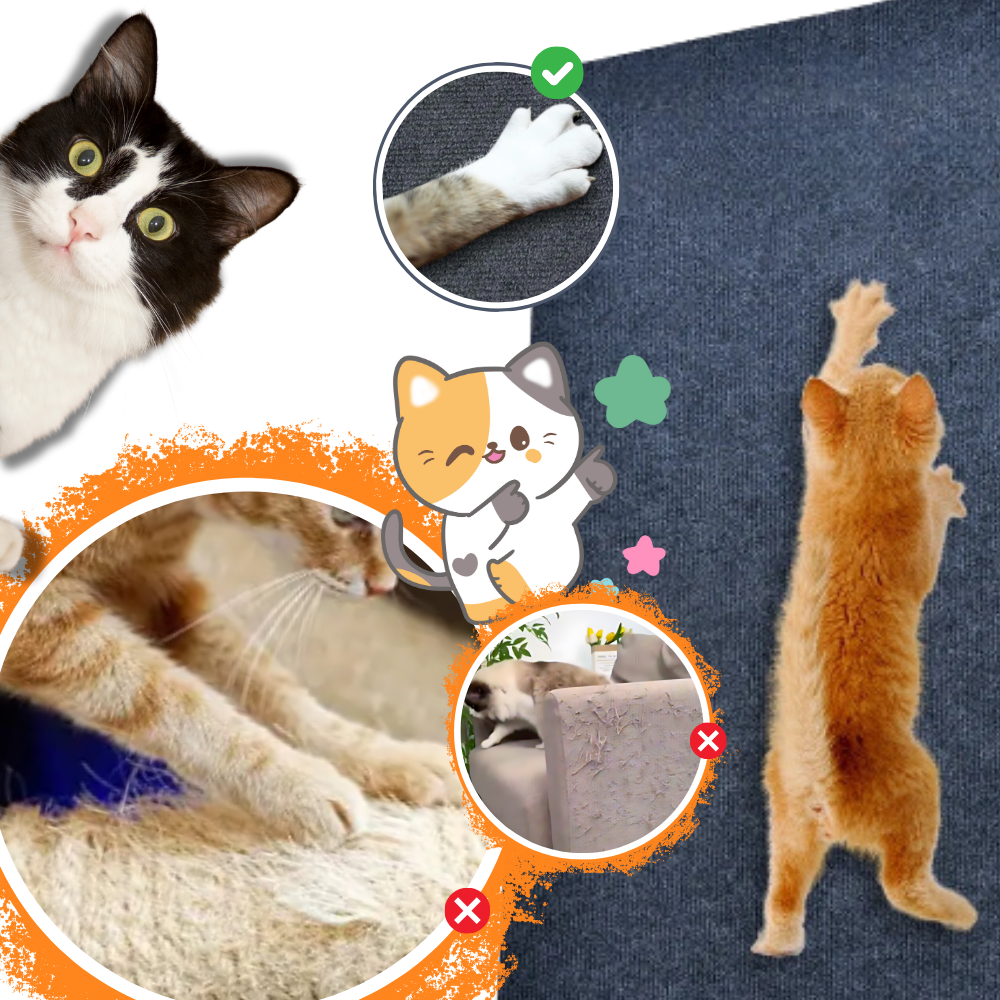 Poste de arranhador de parede adesivo para gato Ozerty France, acessório de alta qualidade para arranhar e divertir o felino.