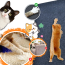 Poste de arranhador de parede adesivo para gato Ozerty France, acessório de alta qualidade para arranhar e divertir o felino.