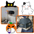 Máscara de Batman para gatos da Merbary, acessório fofo e divertido para animais de estimação com tema de super-herói.
