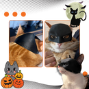 Máscara de gato Batman da Merbary, acessório confortável para animais de estimação com design do herói, ideal para pets brincalhões.