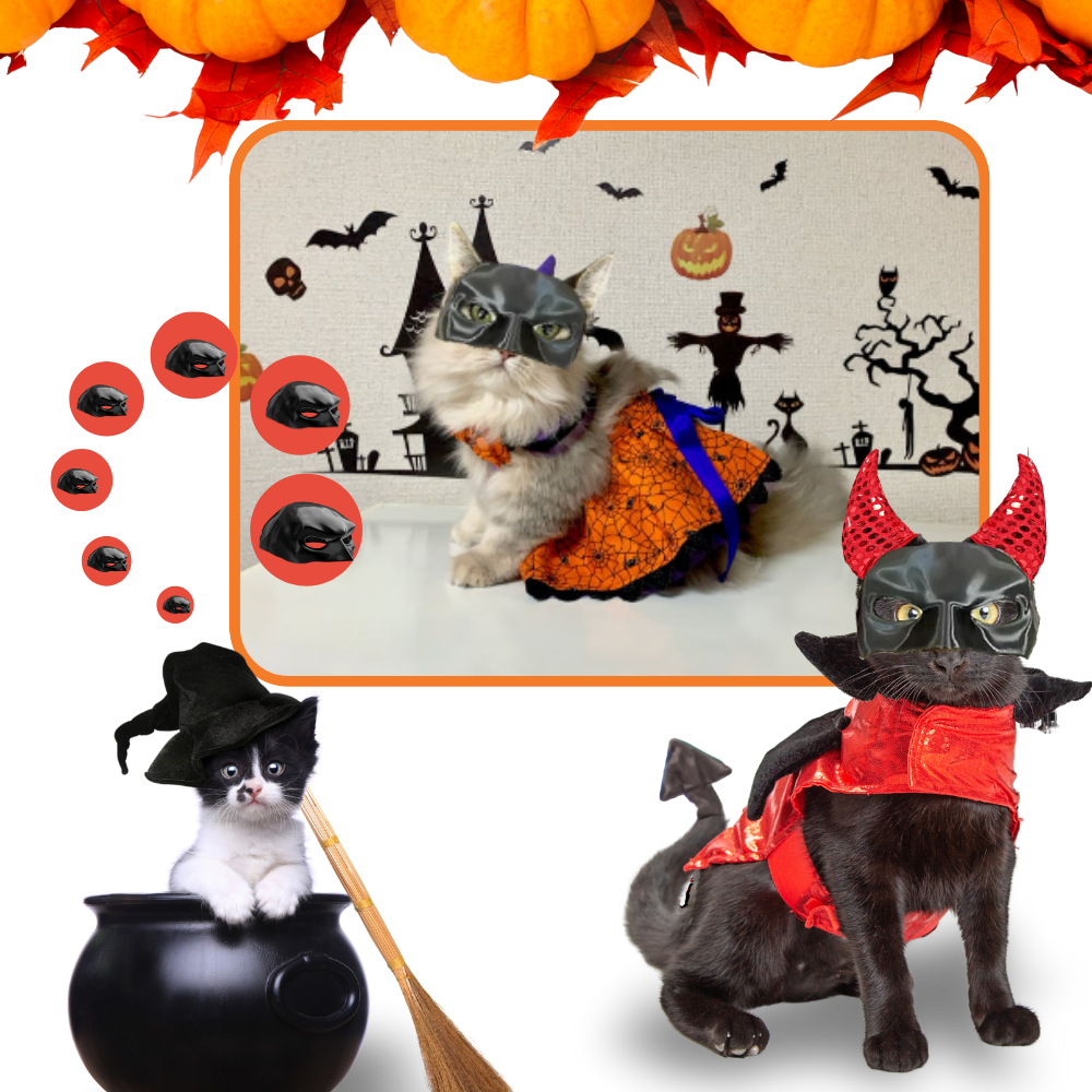 Máscara de gato Batman da Merbary, artigo para animais de estimação, com design fofo e ajustável para cats.