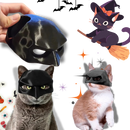 Máscara de Batman para gatos da Merbary, acessório fofo e divertido para pets, com design de máscara do Homem-Morcego.