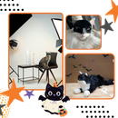 Máscara de gato Batman da Merbary, máscara irresistível de tecido para pets com detalhes do herói Batman.