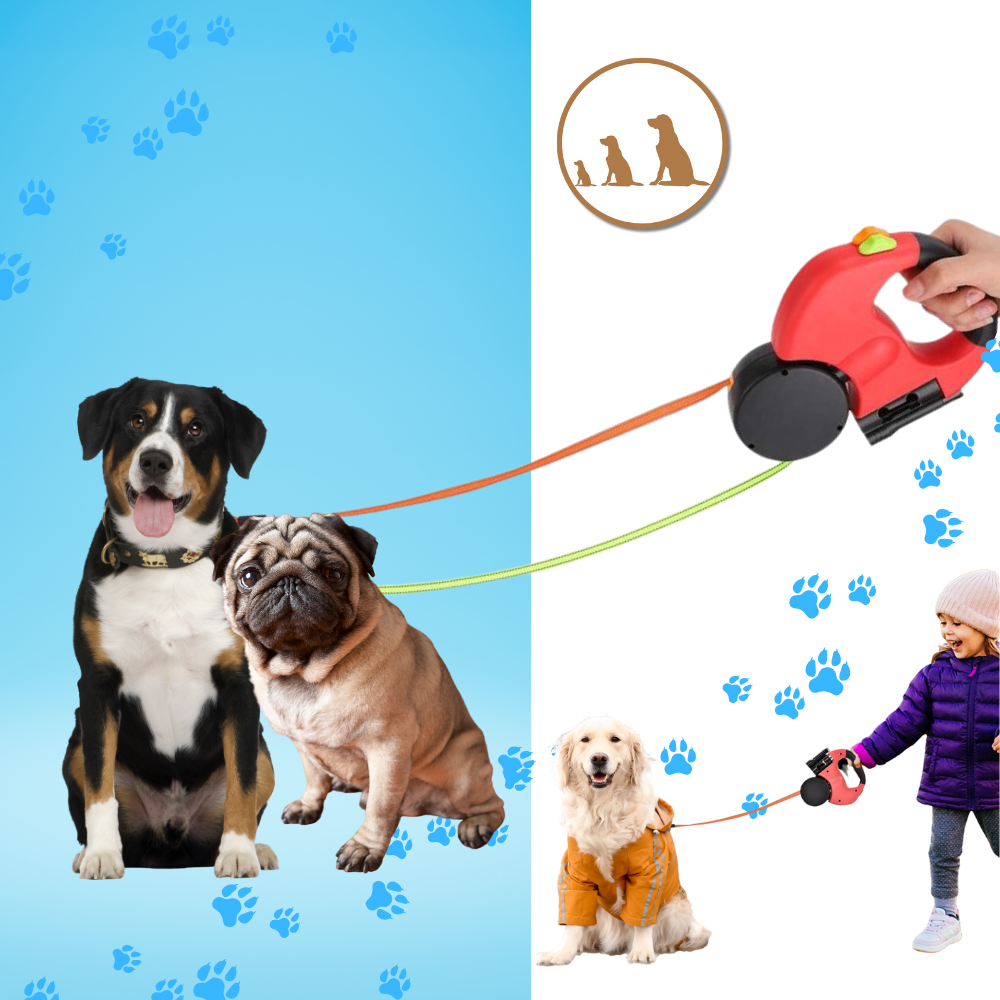 Corda de passeio retrátil antiembolamento para cães da marca Flexi, com alça e mecanismo de ajuste para controle fácil.