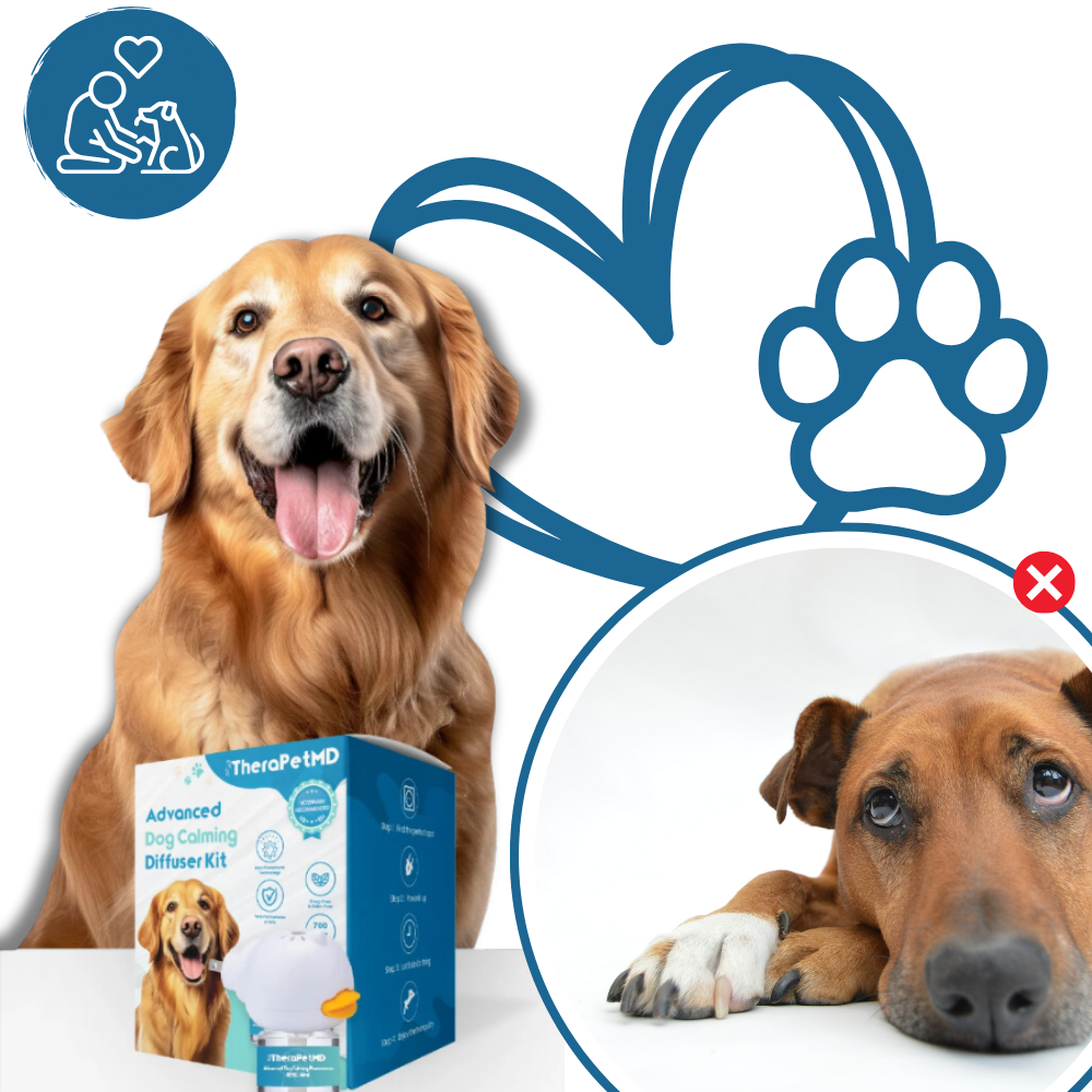 Acessório de feromônios calmantes para cães da marca Yubatuo, ajudando a aliviar ansiedade e promover relaxamento.