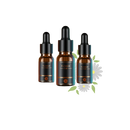 Purificador de ar para carro Arome City resistente ao calor, com 3 fragrâncias, ideal para manutenção e decoração veicular.