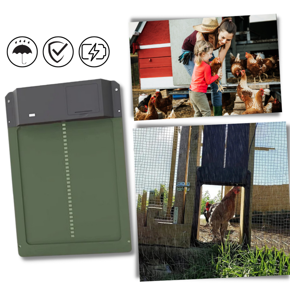 Porta automática para galinheiro Wacanda, sistema de elevação alimentado por bateria para porte de aves.