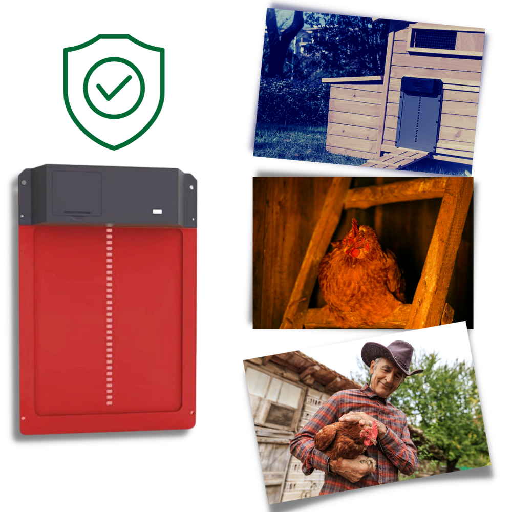 Porta automática para galinheiro Wacanda, sistema de elevação com proteção contra aves de rapina, para fácil acesso e segurança.