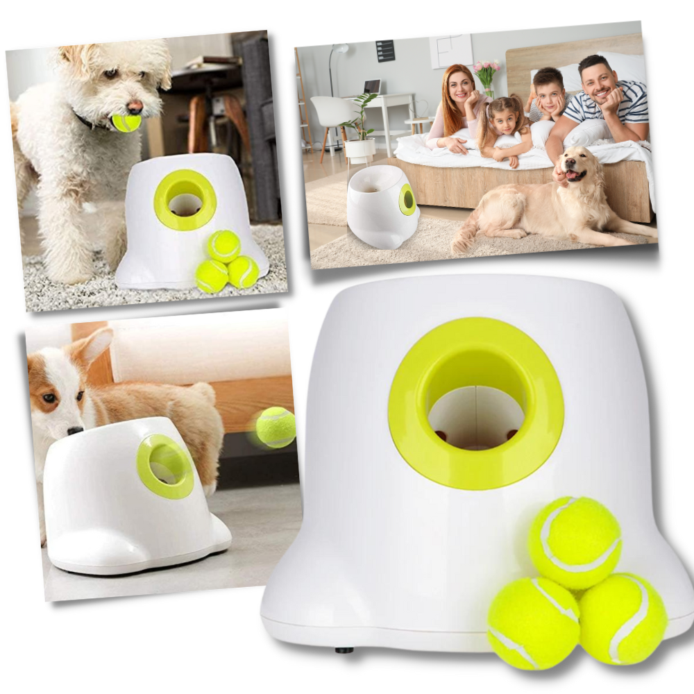 Lanceador de bolas automátic para cães Valatala, acessório para diversão e treinamento de animais, com design moderno.