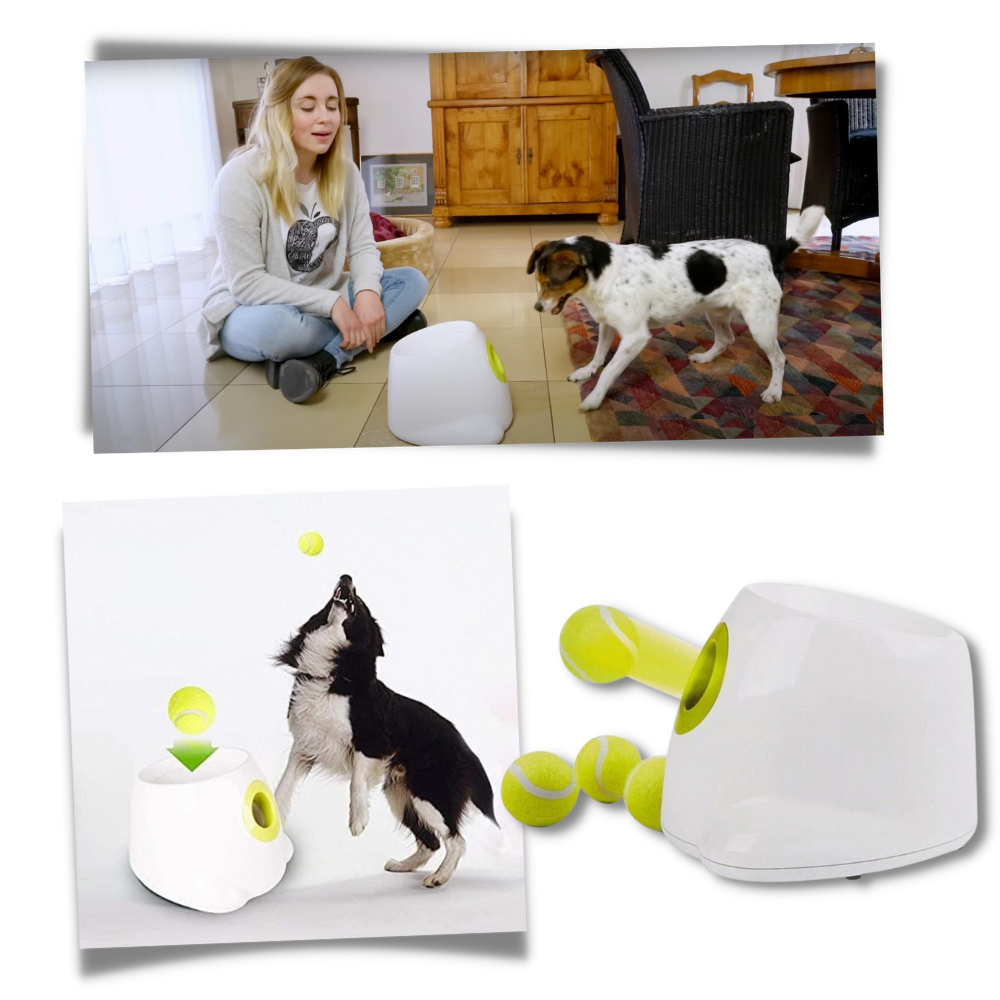 Lanceur de bolas automático para cães Valatala, acessório para diversão e exercício com cachorro, mostrado em ação.