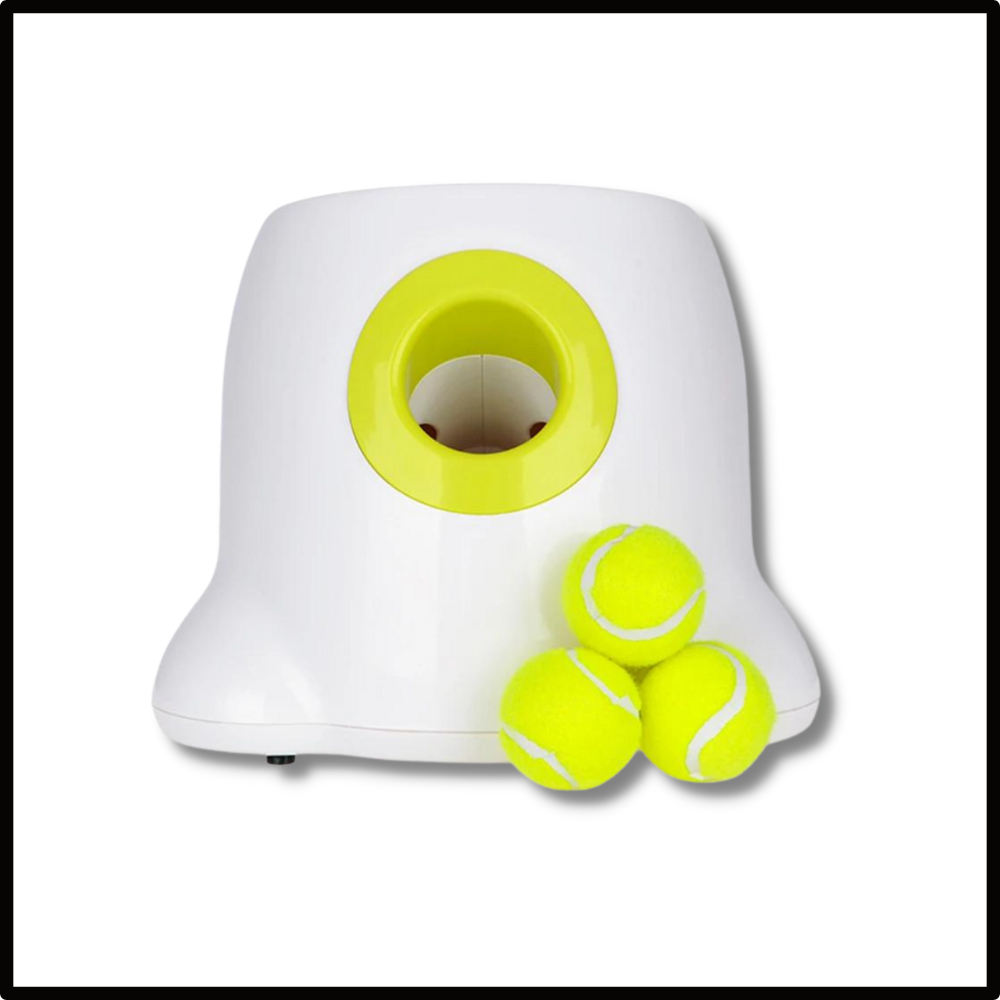 Lanceador de bolas automático para cães Valatala, dispositivo para brincar com seu cachorro, incluído na embalagem.