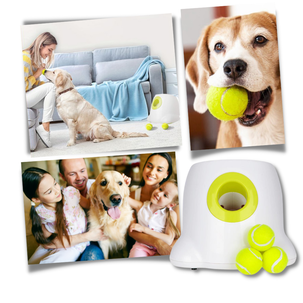 Lanceur de bolas automático para cães Valatala, acessório para cães, com design simples e inovador para diversão.