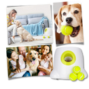 Lanceur de bolas automático para cães Valatala, acessório para cães, com design simples e inovador para diversão.