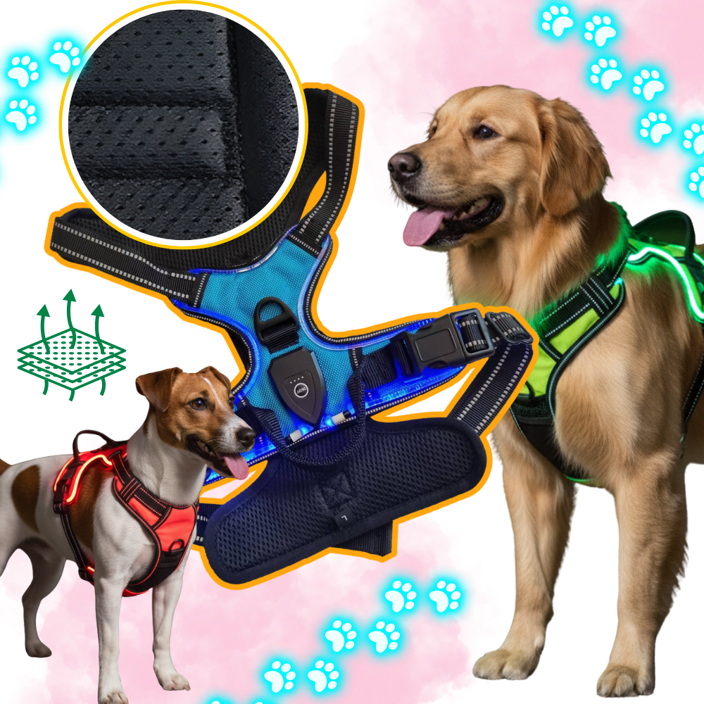 Harnais para cachorro com luz LED piscante, acessório da Dog E Glow, visível com iluminação azul e design respirável.